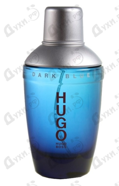 hugo boss dark blue sears